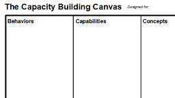 capacity building canvas